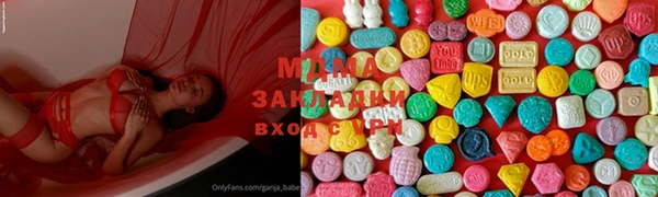 ПСИЛОЦИБИНОВЫЕ ГРИБЫ Дмитриев