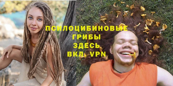 стаф Гусь-Хрустальный