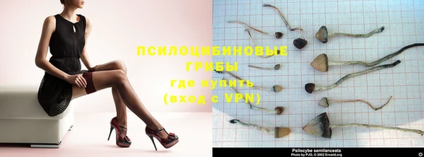 ECSTASY Гусиноозёрск