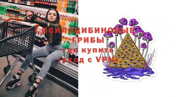 ПСИЛОЦИБИНОВЫЕ ГРИБЫ Дмитриев