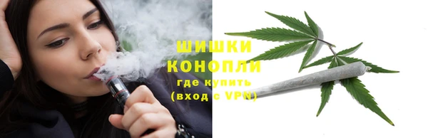 стаф Гусь-Хрустальный