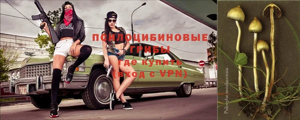 ECSTASY Гусиноозёрск