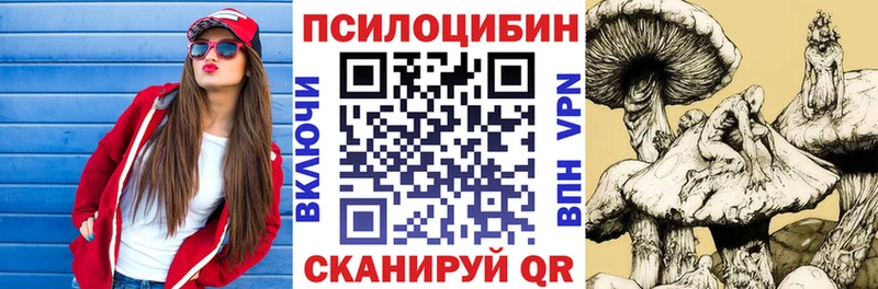 Купить где  Курлово  Псилоцибиновые грибы Magic Shrooms 