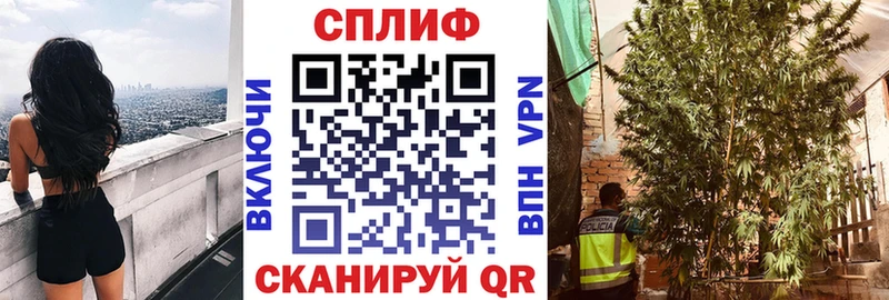 Канабис ГИДРОПОН  Купить  Курлово 